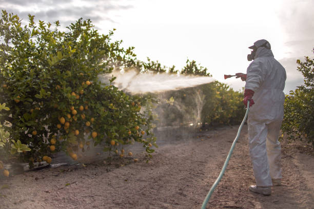 Best Residential Pest Control  in Washington, GA