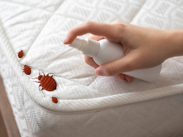 Best Mosquito Control Services  in Washington, GA